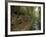 Saxon-Switzerland National Park, Saxony, Germany, Europe-Michael Snell-Framed Photographic Print