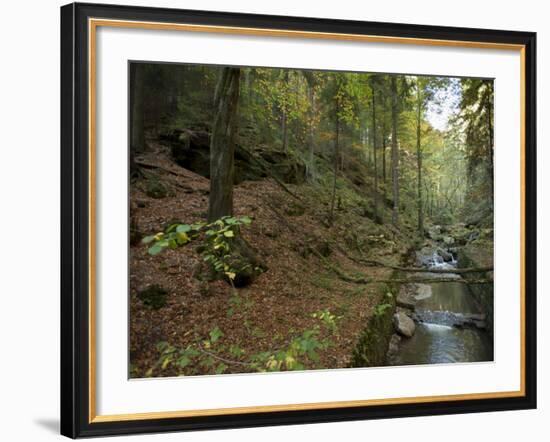 Saxon-Switzerland National Park, Saxony, Germany, Europe-Michael Snell-Framed Photographic Print