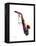 Saxophone 2-Mark Ashkenazi-Framed Premier Image Canvas