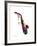 Saxophone 2-Mark Ashkenazi-Framed Giclee Print