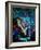 Saxyfolly-Pol Ledent-Framed Art Print