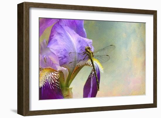 Say Hello to Spring-Jai Johnson-Framed Giclee Print