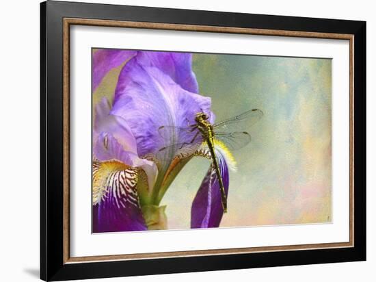 Say Hello to Spring-Jai Johnson-Framed Giclee Print