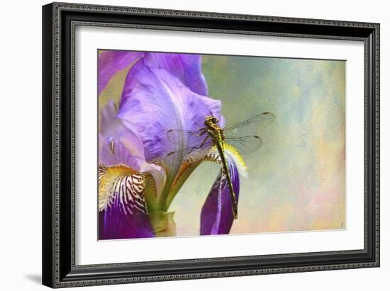 Say Hello to Spring-Jai Johnson-Framed Giclee Print