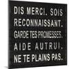 Say Thank You (French)-Sd Graphics Studio-Mounted Art Print