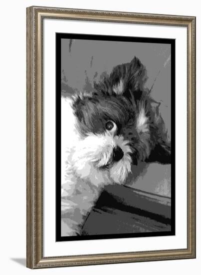 Say What-Tina Lavoie-Framed Giclee Print