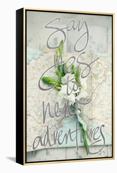 Say Yes To New Adventures-Sarah Gardner-Framed Stretched Canvas