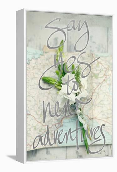 Say Yes To New Adventures-Sarah Gardner-Framed Stretched Canvas