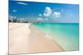 Photographic Print