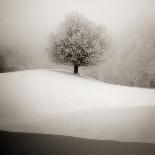 Winter Degradee-SC-Photographic Print