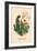 Scabieuse et Souci-J.J. Grandville-Framed Art Print