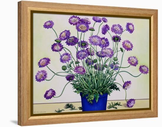 Scabious, 2019 (Watercolour on Paper)-Christopher Ryland-Framed Premier Image Canvas