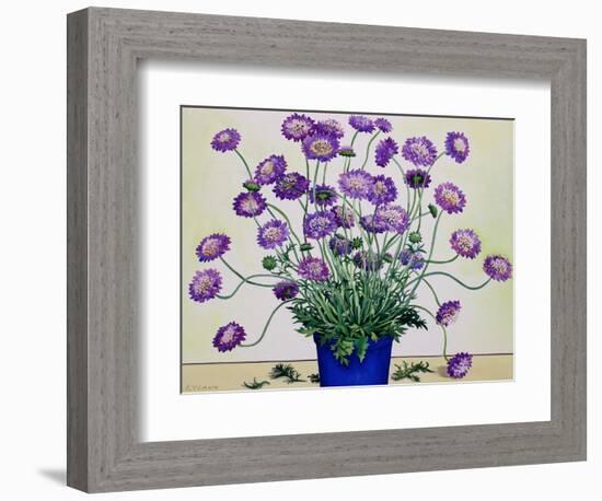 Scabious, 2019 (Watercolour on Paper)-Christopher Ryland-Framed Giclee Print