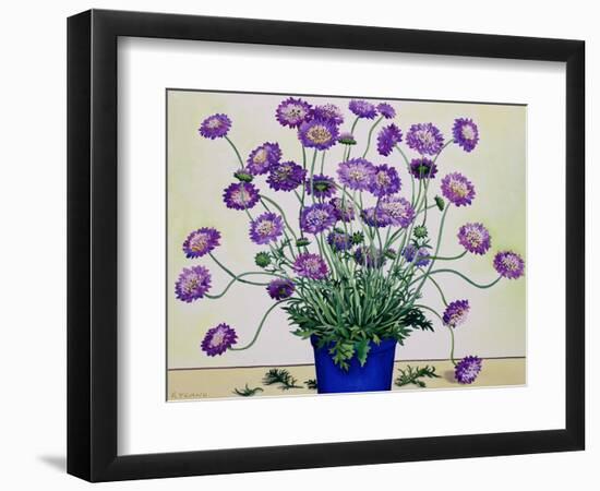 Scabious, 2019 (Watercolour on Paper)-Christopher Ryland-Framed Giclee Print