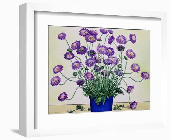 Scabious, 2019 (Watercolour on Paper)-Christopher Ryland-Framed Giclee Print