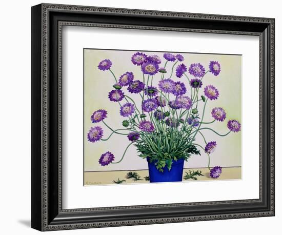 Scabious, 2019 (Watercolour on Paper)-Christopher Ryland-Framed Giclee Print