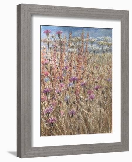 Scabious and Docks-Lincoln Seligman-Framed Giclee Print