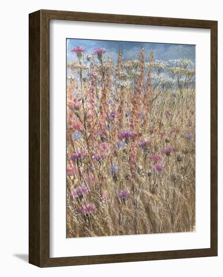 Scabious and Docks-Lincoln Seligman-Framed Giclee Print