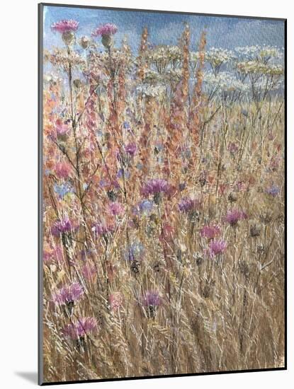 Scabious and Docks-Lincoln Seligman-Mounted Giclee Print