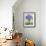 Scabious with Yellow Band-Christopher Ryland-Framed Giclee Print displayed on a wall