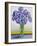 Scabious with Yellow Band-Christopher Ryland-Framed Giclee Print