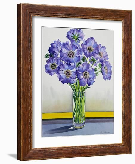 Scabious with Yellow Band-Christopher Ryland-Framed Giclee Print