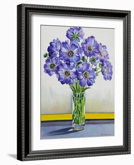 Scabious with Yellow Band-Christopher Ryland-Framed Giclee Print