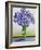 Scabious with Yellow Band-Christopher Ryland-Framed Giclee Print