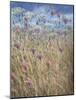 Scabious-Lincoln Seligman-Mounted Giclee Print