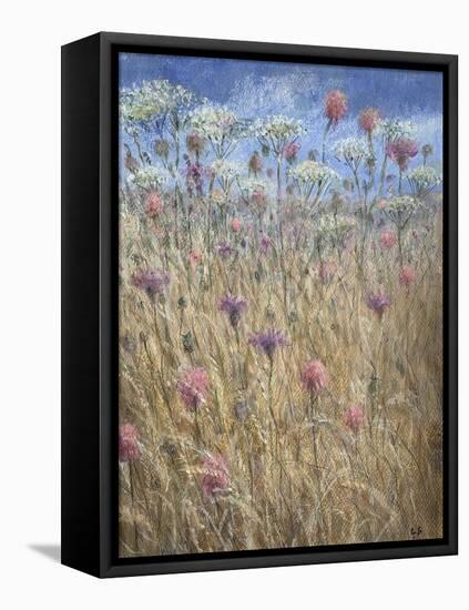 Scabious-Lincoln Seligman-Framed Premier Image Canvas