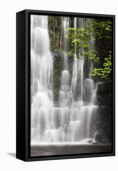 Scale Haw Force Near Hebden in Wharfedale, Yorkshire Dales, Yorkshire, England-Mark Sunderland-Framed Premier Image Canvas
