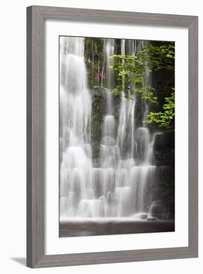 Scale Haw Force Near Hebden in Wharfedale, Yorkshire Dales, Yorkshire, England-Mark Sunderland-Framed Photographic Print