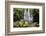 Scale Haw Force Near Hebden in Wharfedale, Yorkshire Dales, Yorkshire, England-Mark Sunderland-Framed Photographic Print