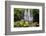 Scale Haw Force Near Hebden in Wharfedale, Yorkshire Dales, Yorkshire, England-Mark Sunderland-Framed Photographic Print