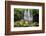 Scale Haw Force Near Hebden in Wharfedale, Yorkshire Dales, Yorkshire, England-Mark Sunderland-Framed Photographic Print