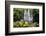 Scale Haw Force Near Hebden in Wharfedale, Yorkshire Dales, Yorkshire, England-Mark Sunderland-Framed Photographic Print