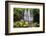 Scale Haw Force Near Hebden in Wharfedale, Yorkshire Dales, Yorkshire, England-Mark Sunderland-Framed Photographic Print