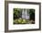 Scale Haw Force Near Hebden in Wharfedale, Yorkshire Dales, Yorkshire, England-Mark Sunderland-Framed Photographic Print