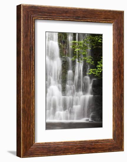 Scale Haw Force Near Hebden in Wharfedale, Yorkshire Dales, Yorkshire, England-Mark Sunderland-Framed Photographic Print