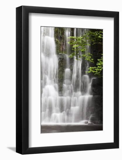 Scale Haw Force Near Hebden in Wharfedale, Yorkshire Dales, Yorkshire, England-Mark Sunderland-Framed Photographic Print