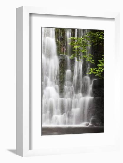 Scale Haw Force Near Hebden in Wharfedale, Yorkshire Dales, Yorkshire, England-Mark Sunderland-Framed Photographic Print