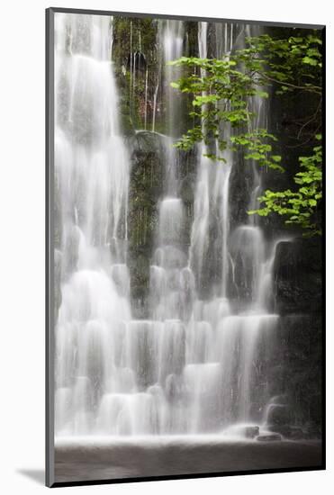 Scale Haw Force Near Hebden in Wharfedale, Yorkshire Dales, Yorkshire, England-Mark Sunderland-Mounted Photographic Print