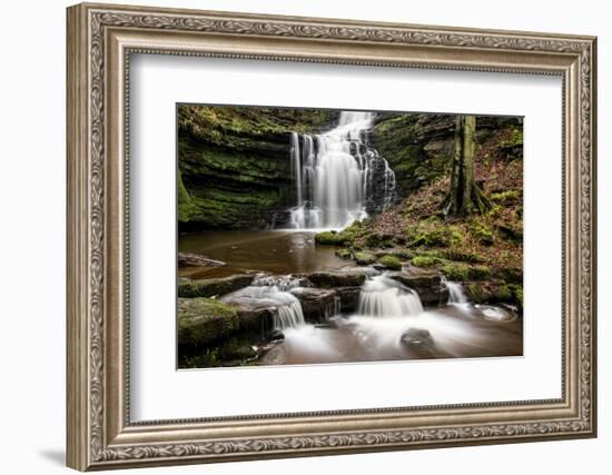 Scaleber Force Waterfall, Yorkshire Dales, Yorkshire, England, United Kingdom, Europe-Bill Ward-Framed Photographic Print