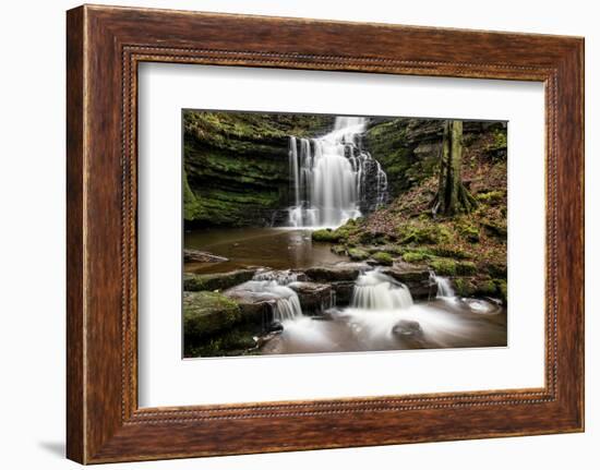 Scaleber Force Waterfall, Yorkshire Dales, Yorkshire, England, United Kingdom, Europe-Bill Ward-Framed Photographic Print