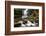 Scaleber Force Waterfall, Yorkshire Dales, Yorkshire, England, United Kingdom, Europe-Bill Ward-Framed Photographic Print