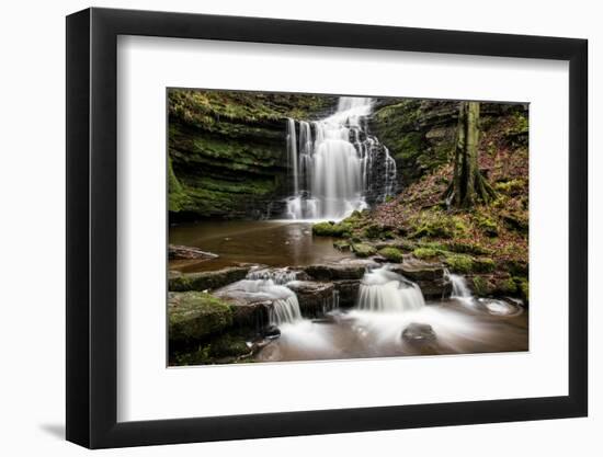 Scaleber Force Waterfall, Yorkshire Dales, Yorkshire, England, United Kingdom, Europe-Bill Ward-Framed Photographic Print