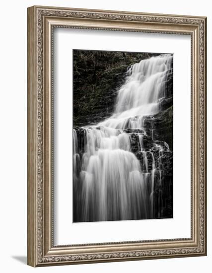 Scaleber Force Waterfall, Yorkshire Dales, Yorkshire, England, United Kingdom, Europe-Bill Ward-Framed Photographic Print