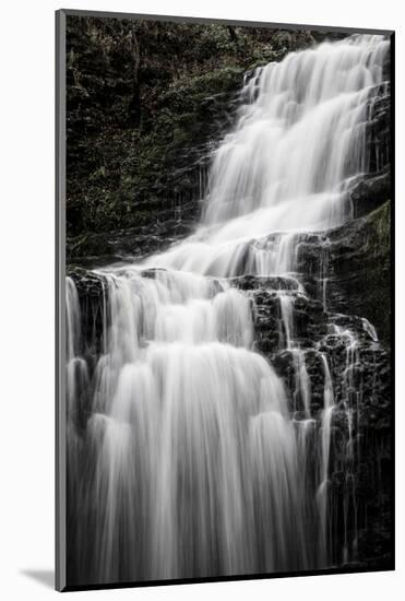 Scaleber Force Waterfall, Yorkshire Dales, Yorkshire, England, United Kingdom, Europe-Bill Ward-Mounted Photographic Print