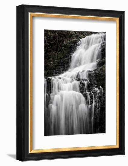 Scaleber Force Waterfall, Yorkshire Dales, Yorkshire, England, United Kingdom, Europe-Bill Ward-Framed Photographic Print