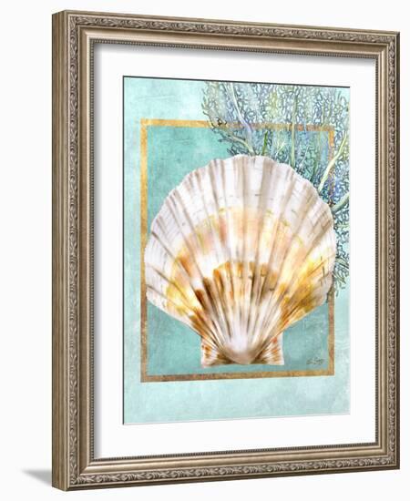 Scallop Shell and Coral-Lori Schory-Framed Art Print